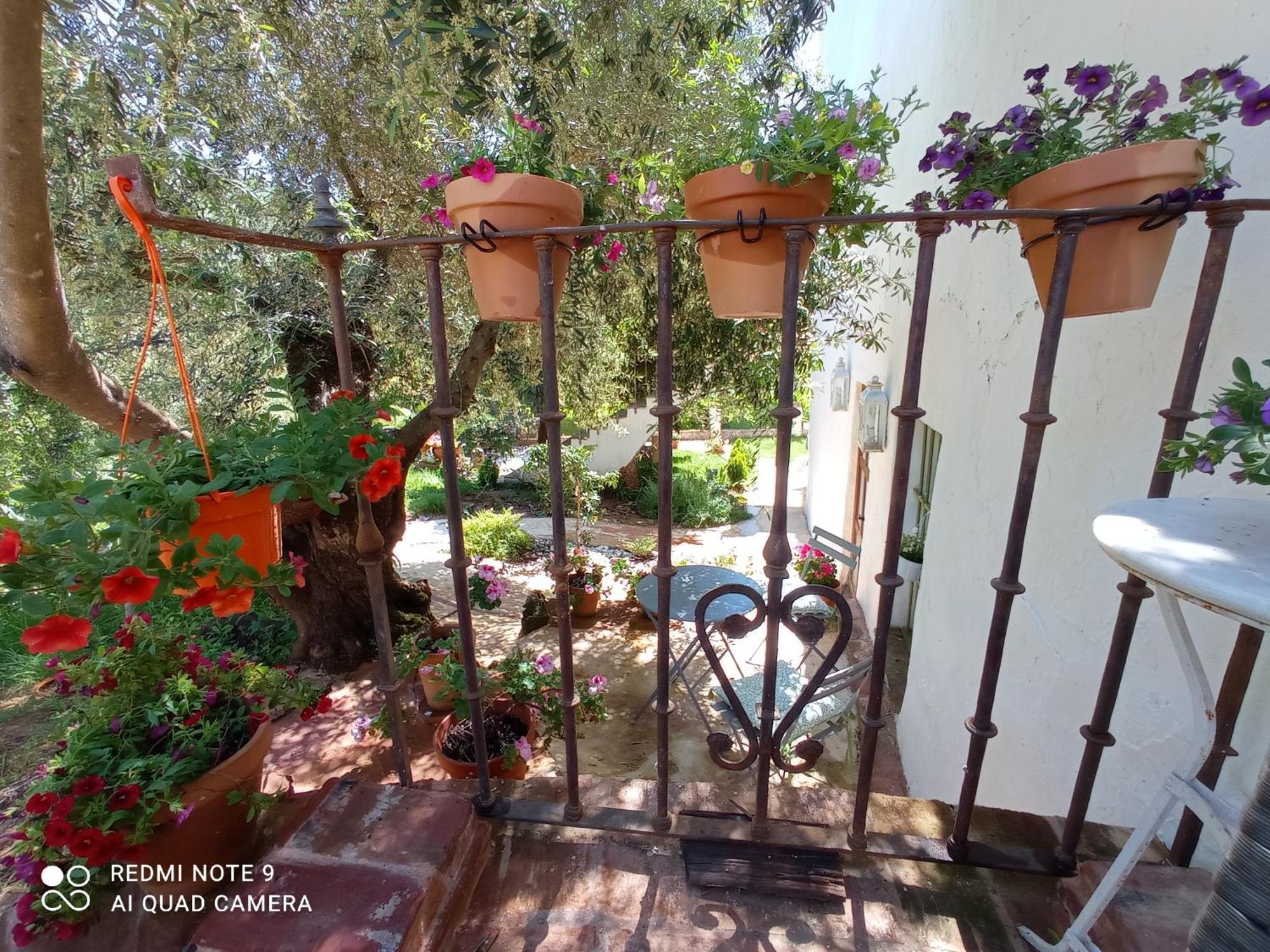Finca La Favorita- Suites (Adults Only) Constantina Zewnętrze zdjęcie