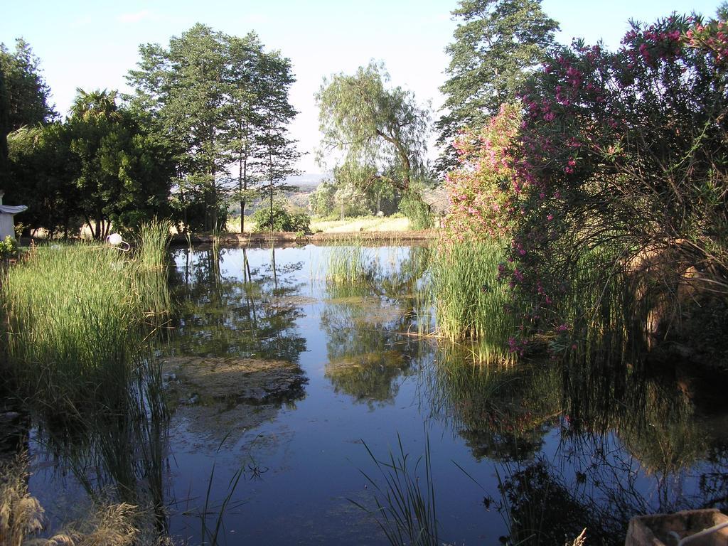 Finca La Favorita- Suites (Adults Only) Constantina Zewnętrze zdjęcie