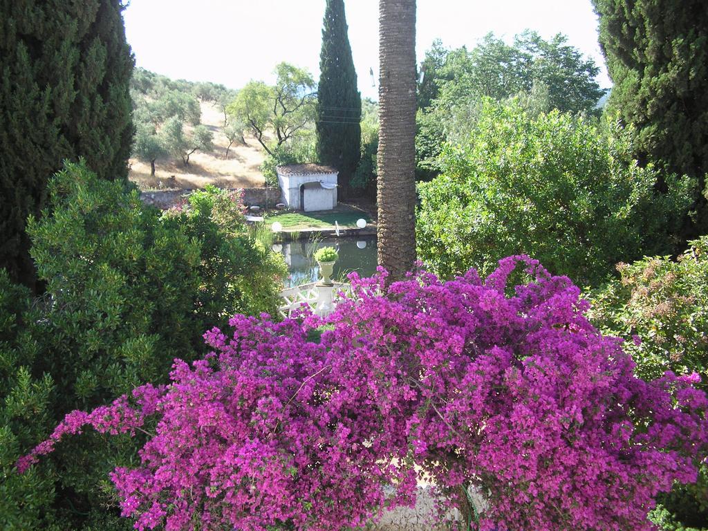 Finca La Favorita- Suites (Adults Only) Constantina Zewnętrze zdjęcie