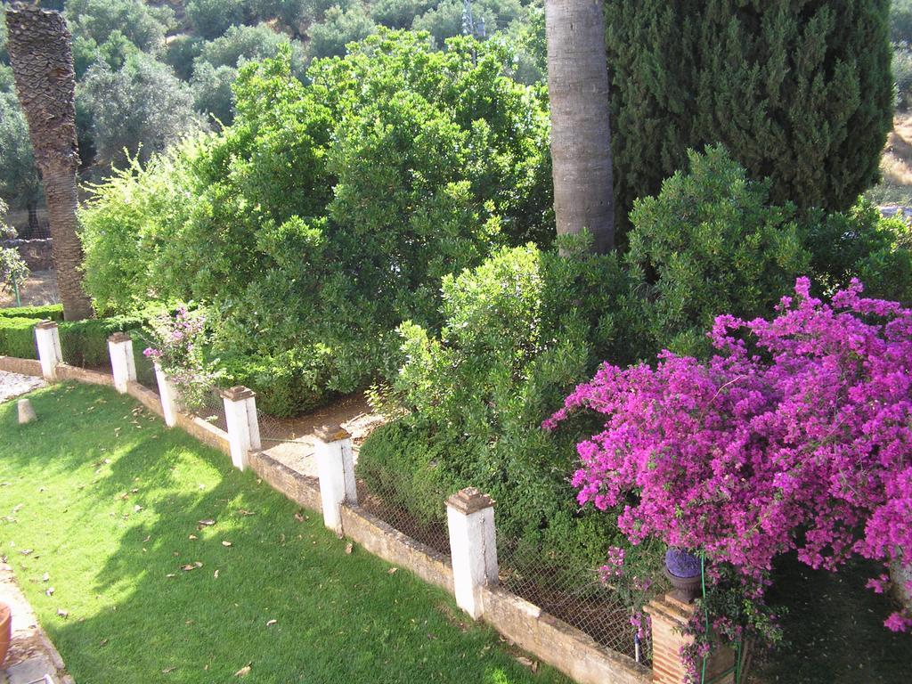 Finca La Favorita- Suites (Adults Only) Constantina Zewnętrze zdjęcie