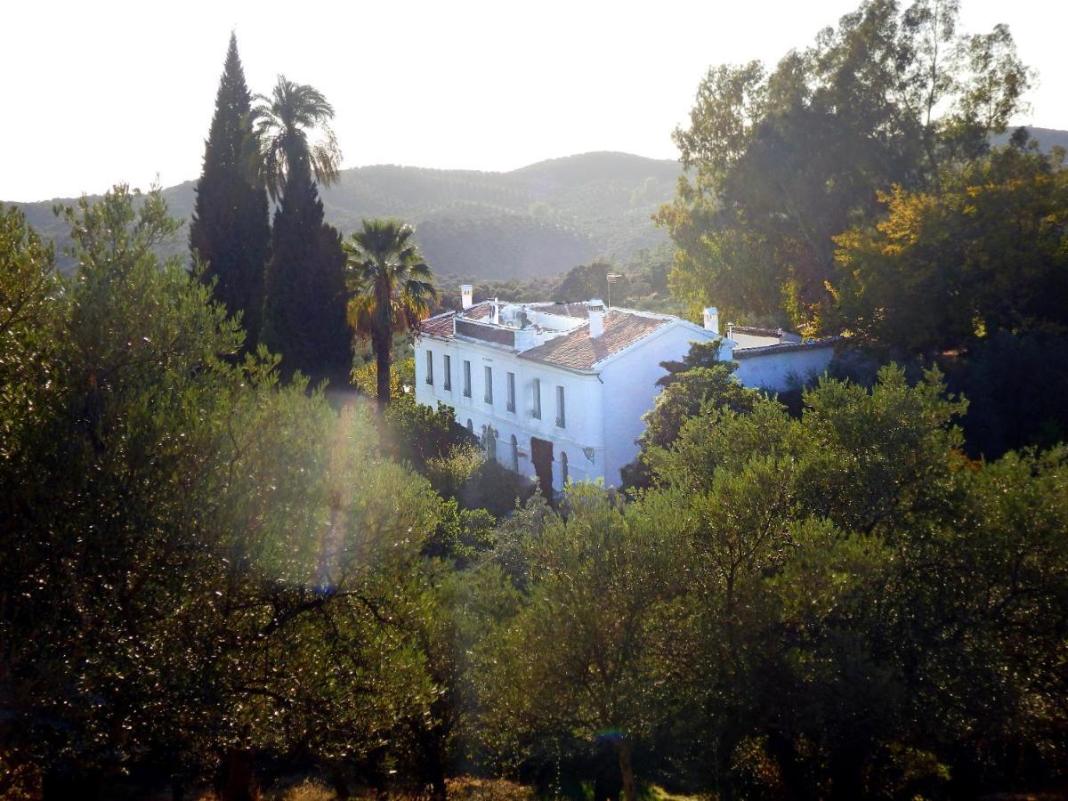 Finca La Favorita- Suites (Adults Only) Constantina Zewnętrze zdjęcie