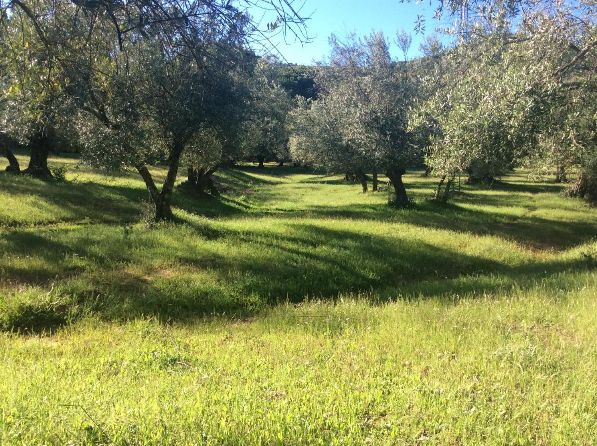 Finca La Favorita- Suites (Adults Only) Constantina Zewnętrze zdjęcie